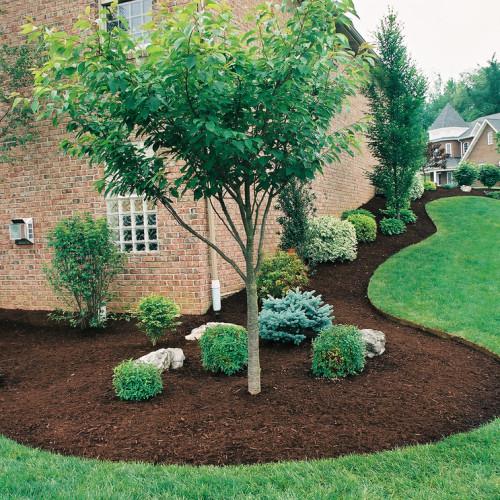 Example of a finished mulched landscape bed